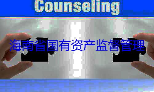 理委员会党资产监督管有福接受审委副书记王海南省国有查调查